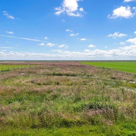 בית נופש 2001-romo-juvrevej-80